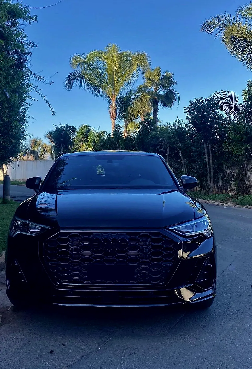 Audi Q3 Sportback noire de face, sous les palmiers